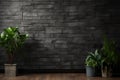 Empty indoor rough black brick wall with wooden floor and house plants. Loft dark interior. Copy space Royalty Free Stock Photo