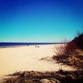 Empty Jurmala beach out of season - vintage photo. Spring seascape and bare bushes. Royalty Free Stock Photo