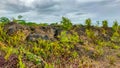 Empty land with lots of coral rocks at the location