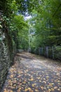 Empty Lane Covered with Foliage in Autumn Park. Autumn Colors in a Park in Paris, France