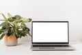 Empty laptop screen and house plant Royalty Free Stock Photo