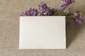 An empty layout of an invitation card or greeting card on a background of lilac flowers.