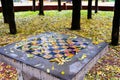 Leaf covered chess board