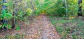 An empty leafy alley in Autumn Park, Siberia, Russia