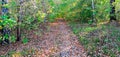 An empty leafy alley in Autumn Park, Siberia, Russia