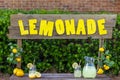 An empty lemonade stand ready for children to start selling lemonade on a hot summer day as their first business