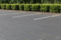 Empty lined asphalt parking lot bordered by bushes and trees