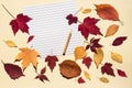 Empty lined page with pencil and colorful autumn leaves. Concept of back to school. Bright sunlight, beige background, flat lay, Royalty Free Stock Photo