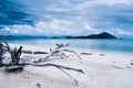 Empty logs beach in monsoon season Royalty Free Stock Photo