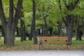 Empty lonely bench