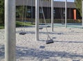 empty lonely swings in a modern park