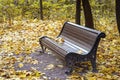 Empty lonely wooden brown bench in the city park, Yellow maple leaves. Autumn, fall season, sad mood, loneliness