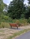 Empty park bench next to a walking path in a park filled with lush evergreen trees Royalty Free Stock Photo