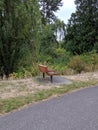 Empty park bench next to a walking path in a park filled with lush evergreen trees Royalty Free Stock Photo