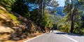 Empty long mountain road to the horizon on a sunny summer day at bright sunset Royalty Free Stock Photo