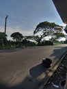 An empty long road with some trees on the roadside Royalty Free Stock Photo