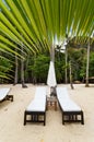 Empty luxury beach beds under a palm tree Royalty Free Stock Photo