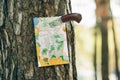 Empty map stuck into a tree with a knives Royalty Free Stock Photo
