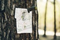 Empty map stuck into a tree with a knives Royalty Free Stock Photo