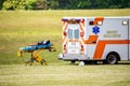 Empty medical stretcher with ambulance car on the field