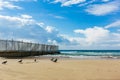 Empty Mediterranean beach with pigeons in Tel Aviv Israel