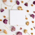 Empty memo paper with dry ranunculus and globe amaranth flowers on white background Royalty Free Stock Photo