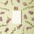 Empty memo paper with purple statice flowers and eucalyptus leaves on khaki green background Royalty Free Stock Photo