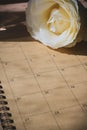 Empty message in schedule book of calendar with white rose flower Royalty Free Stock Photo