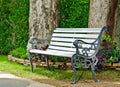 Empty metal chair