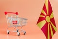 Empty metal shopping basket and the flag of Macedonia on a colored background consumer basket Royalty Free Stock Photo