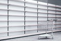 Empty metallic store shelves