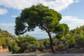 Empty mountain road with blue sky and sea on a background. Greece, island of Salamina. Royalty Free Stock Photo