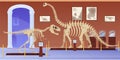 Empty museum of paleontology with dinosaurs skeletons vector flat cartoon illustration