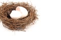 Empty Nest Royalty Free Stock Photo