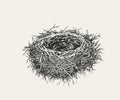 An Empty Nest without Eggs. Hand Drawn Vector Illustration.