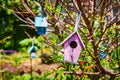 Empty nest purple birdhouse with blue on tree in spring of hope on warm sunny day