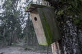 Empty nesting-box in the fir tree at early springs day Royalty Free Stock Photo