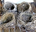 Empty Nests