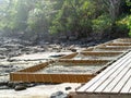 Empty net seat placed on wooden plank deck over the rock on green mangrove jungle on the island. Royalty Free Stock Photo