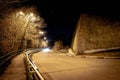 Empty night street in the light of streetlights Royalty Free Stock Photo