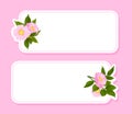 Empty Note Card with Dogrose Flower Pink Buds Vector Template