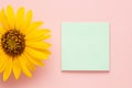 empty note or sticker at pink pastel background decorated with beautiful summer flower sunflower. theme for design Royalty Free Stock Photo