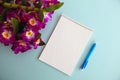 Empty Notebook, Blue Pen and Pink Orchid Flower Bloom  on a Light Blue Background Royalty Free Stock Photo