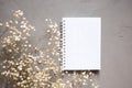 Empty notebook and dry flower on gray background. copy space