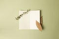 Empty notebook with dry leaves on khaki green background Royalty Free Stock Photo