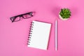 Empty notebook with a pen, eyeglasses and a cactus on a pink background, brainstorming for new ideas, writing a message Royalty Free Stock Photo