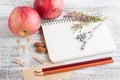 Empty notebook and pencils, apples Royalty Free Stock Photo