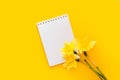 Empty notepad with fresh bouquet of spring narcissus on pastel light yellow background. Blank notebook with daffodil