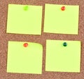 Empty notes on corkboard Royalty Free Stock Photo