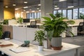 Empty office desk with plant and copy space Royalty Free Stock Photo